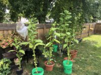IMG_6073.jpeg