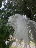 IMG_6078.jpeg