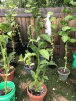 IMG_6076.jpeg