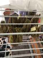 IMG_6081.jpeg