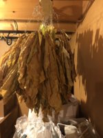 IMG_6083.jpeg