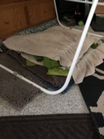 IMG_6092.jpeg