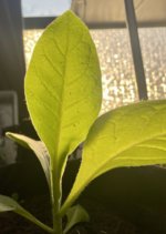 IMG_3094.jpeg