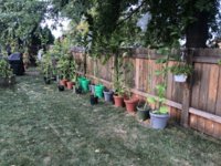 IMG_6144.jpeg