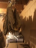 IMG_6147.jpeg