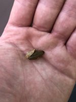 IMG_6149.jpeg