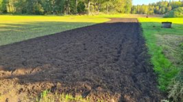 Tobacco field 2023-09-24 1.jpg
