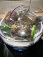 IMG_6516.jpeg IMG_6516.jpeg