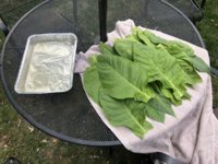 IMG_6192.jpeg