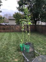 IMG_6198.jpeg