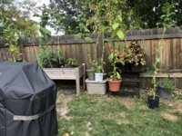 IMG_6194.jpeg