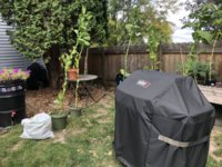 IMG_6195.jpeg