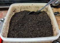 Snus 2023-10-15 2.jpg