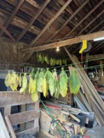 IMG_2700.jpeg