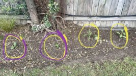 IMG_3423.jpeg