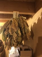IMG_6321.jpeg IMG_6321.jpeg