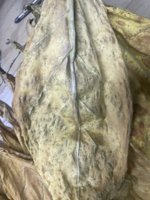IMG_3830.jpeg