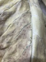 IMG_3835.jpeg