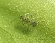 IMG_3855.jpeg