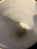 IMG_6498.jpeg IMG_6498.jpeg