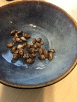 IMG_6519.jpeg IMG_6519.jpeg