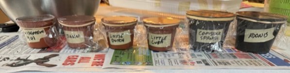 IMG_4238.jpeg IMG_4238.jpeg