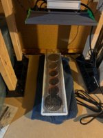 IMG_4239.jpeg IMG_4239.jpeg