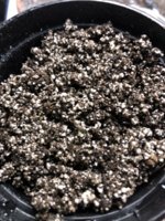 IMG_6559.jpeg IMG_6559.jpeg