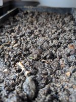 Première sortie.jpg