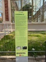 IMG_4418.jpeg IMG_4418.jpeg