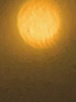 IMG_3943.jpeg