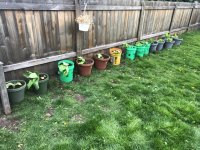 IMG_6663.jpeg IMG_6663.jpeg