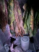 C70593D7-D2A1-4215-83FF-710923C2FAAF.jpeg C70593D7-D2A1-4215-83FF-710923C2FAAF.jpeg