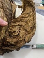 01612930-BF03-4138-8B04-9A5F95140214.jpeg 01612930-BF03-4138-8B04-9A5F95140214.jpeg