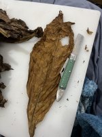 2FFBC4F3-E23D-410D-BEEC-7AA7F059CB60.jpeg 2FFBC4F3-E23D-410D-BEEC-7AA7F059CB60.jpeg