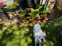 IMG_4818.jpeg