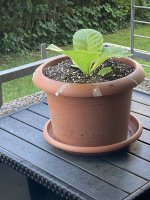 IMG_9697.jpeg