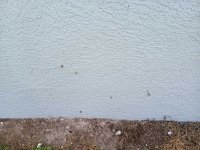 IMG_20240714_104953499.jpg