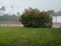 IMG_20240718_132011798.jpg