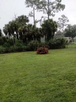 IMG_20240804_093951918.jpg