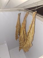 1000001575.jpg 1000001575.jpg