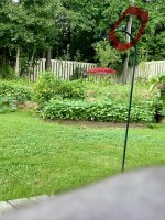 IMG_4973.jpeg