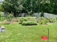 IMG_4977.jpeg