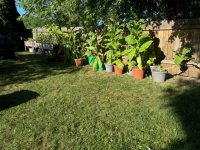 IMG_4983.jpeg