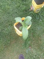 1000001594.jpg 1000001594.jpg