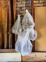IMG_5012.jpeg