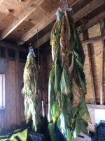 IMG_6973.jpeg