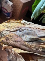 IMG_5045.jpeg
