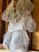 IMG_5040.jpeg