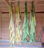 PY KY171 and KY171 2024-09-11.jpeg